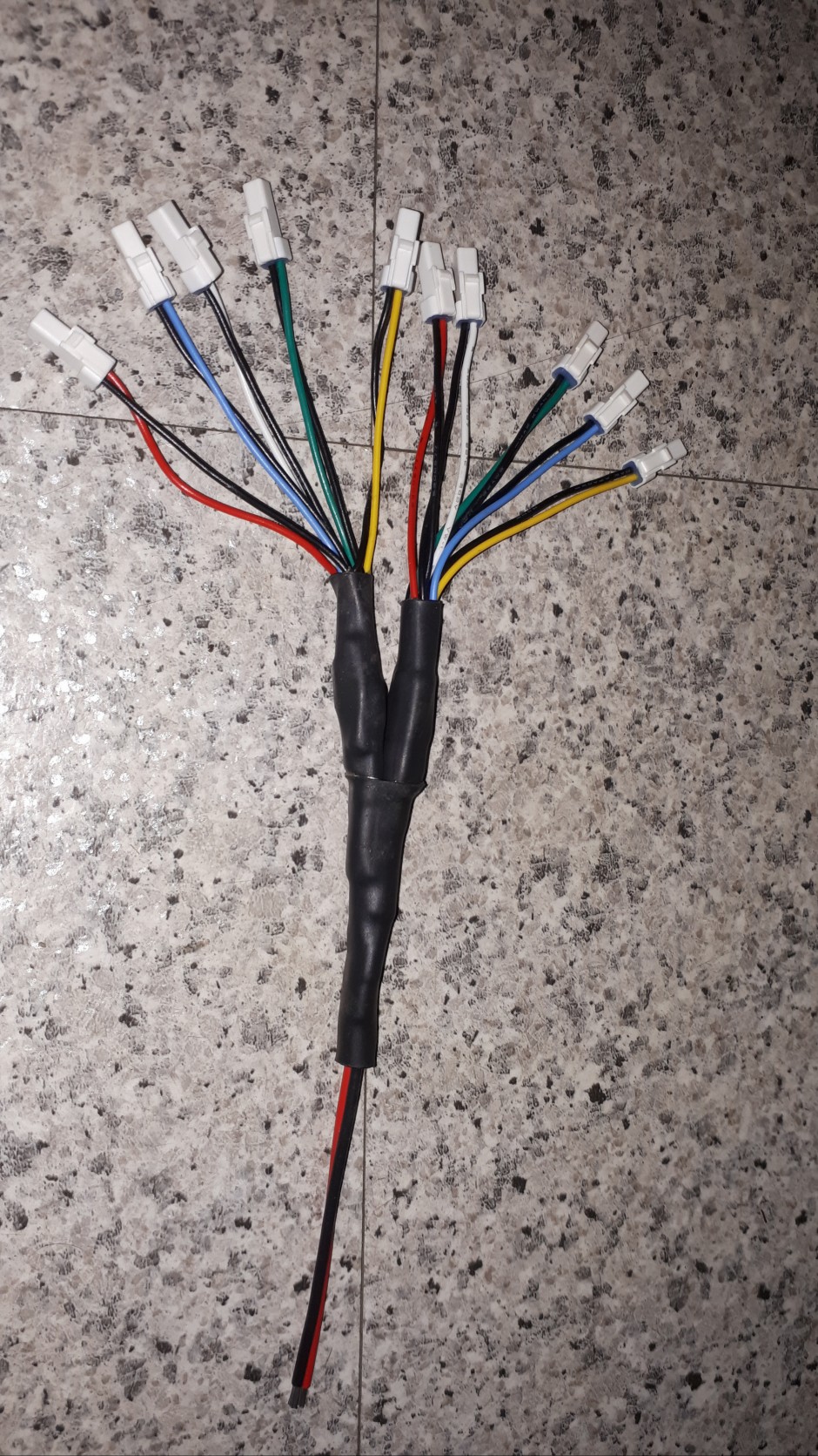 eedf7c31d1e3cb643b01a095bc50512a_1734941539_2489.jpg